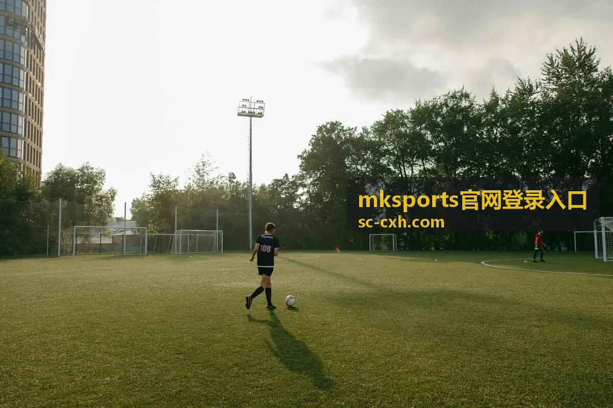 mksports官网登录入口登录页面示意