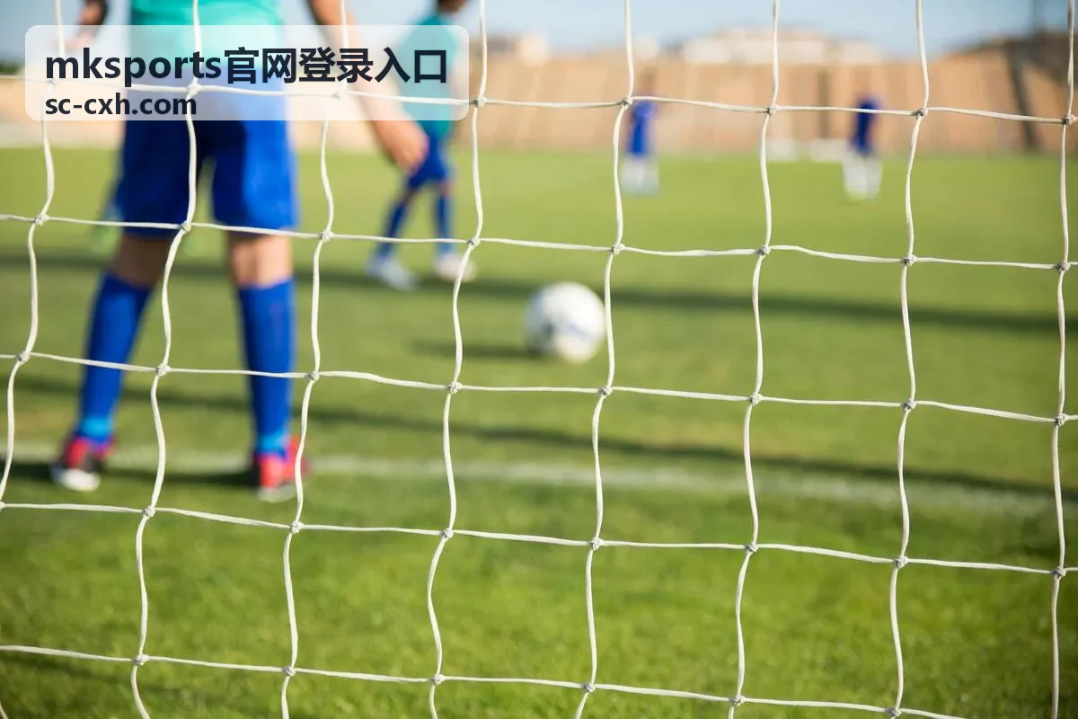 mksports官网登录入口 开播提醒与账号安全设置示意