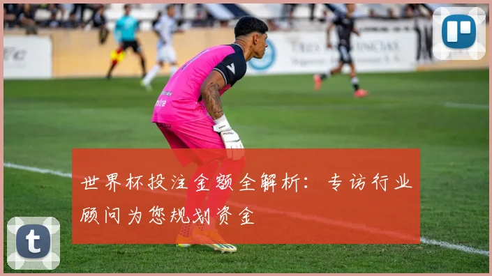 世界杯投注金额全解析：专访行业顾问为您规划资金
