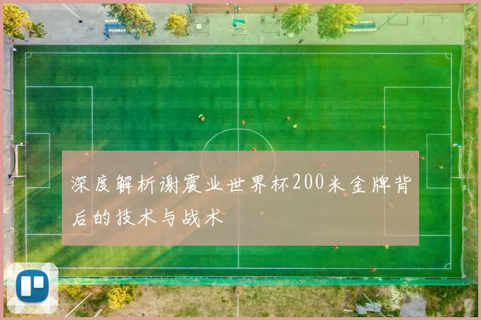 深度解析谢震业世界杯200米金牌背后的技术与战术