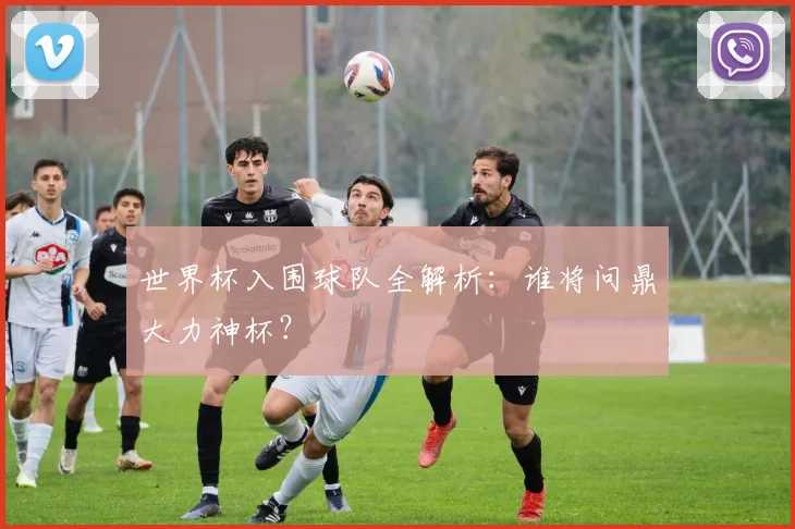 世界杯入围球队全解析:谁将问鼎大力神杯?