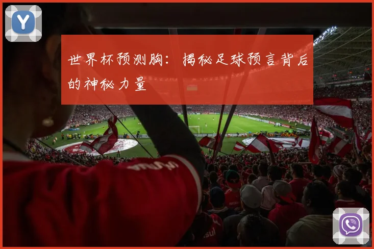 世界杯预测胸：揭秘足球预言背后的神秘力量