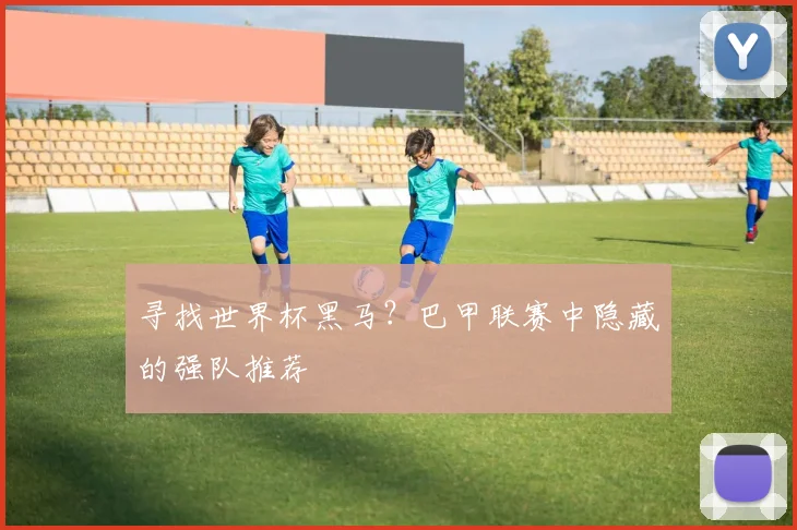 寻找世界杯黑马?巴甲联赛中隐藏的强队推荐