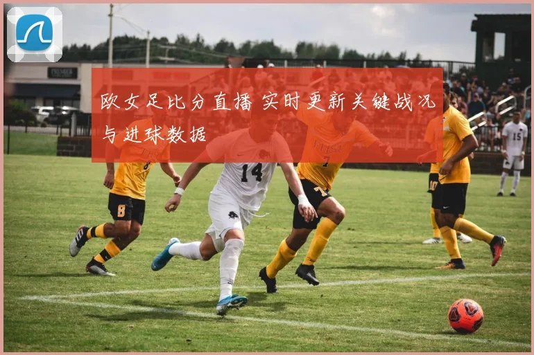 欧女足比分直播 实时更新关键战况与进球数据