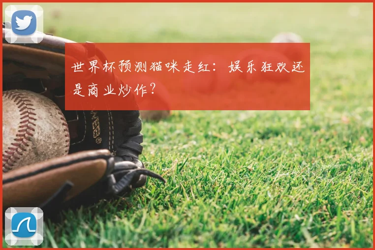 世界杯预测猫咪走红：娱乐狂欢还是商业炒作？