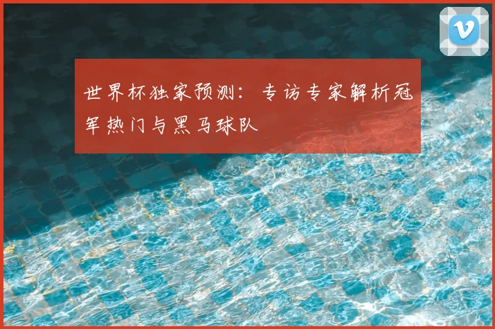 世界杯独家预测：专访专家解析冠军热门与黑马球队