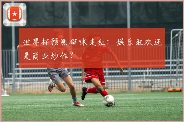 世界杯预测猫咪走红：娱乐狂欢还是商业炒作？